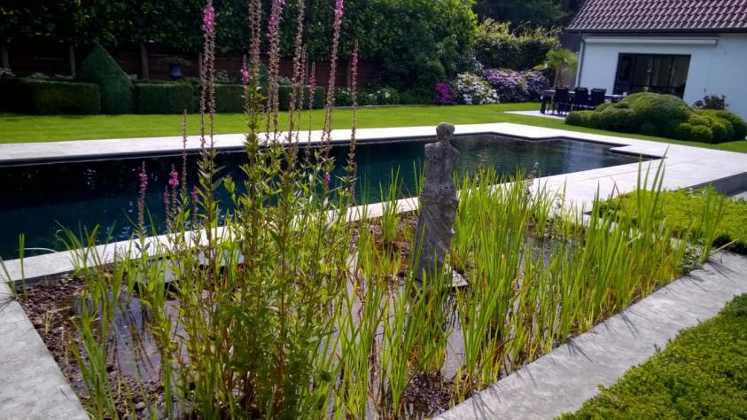 buitenzwembad, waterpartij met planten en vrouwbeeld, boordsteen, terras, tuin, waterbehandeling, hydrolise, filteren