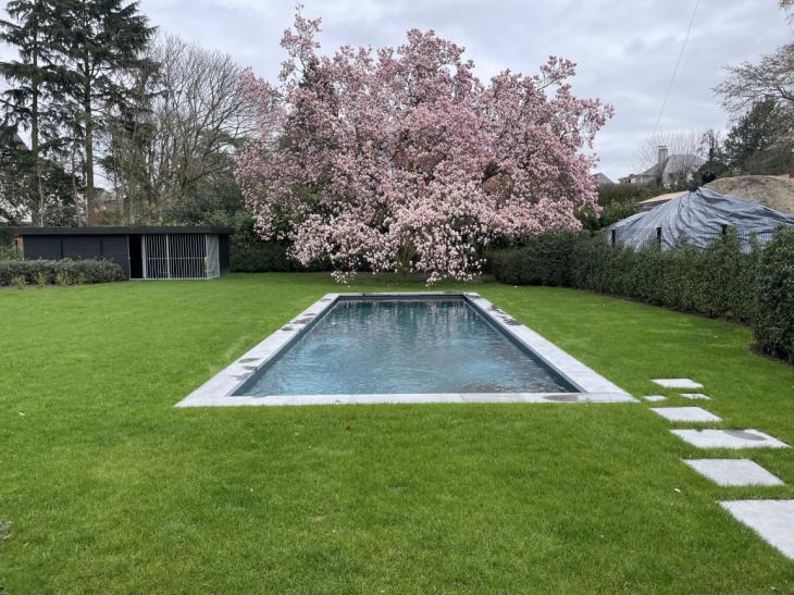 zwembad, tuinoverzicht,  boom, tuinpad, boordsteen, plage,  renovatie, filtratie, hydrolise, waterbehandeling