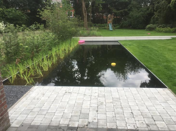 Zwemvijver, detailfoto2, technieken, zwembad, watergrassen,  terras, tuin