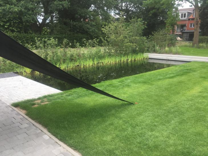 Zwemvijver, detailfoto, technieken, zwembad, watergrassen,  terras, zonnescherm, tuin