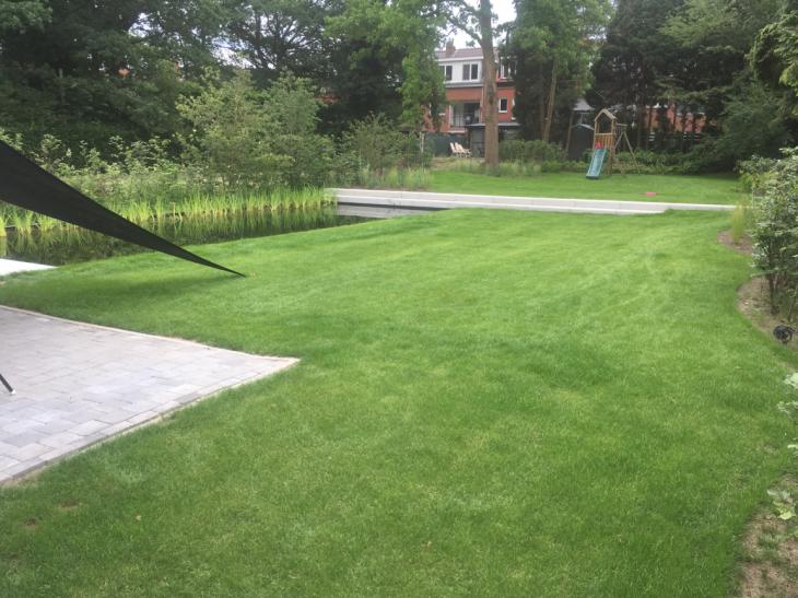 Zwemvijver, technieken, zwembad, watergrassen,  terras, zonnescherm, tuin