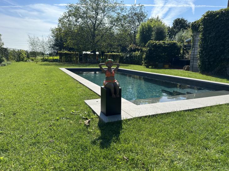 buitenzwembad, renovatie, boordsteen, filtratie, hydrolise, waterbehandeling tuinaanleg