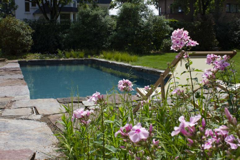 biopool, zwembad, bloemen, natuursteen, filtratie, milieuvriendelijk